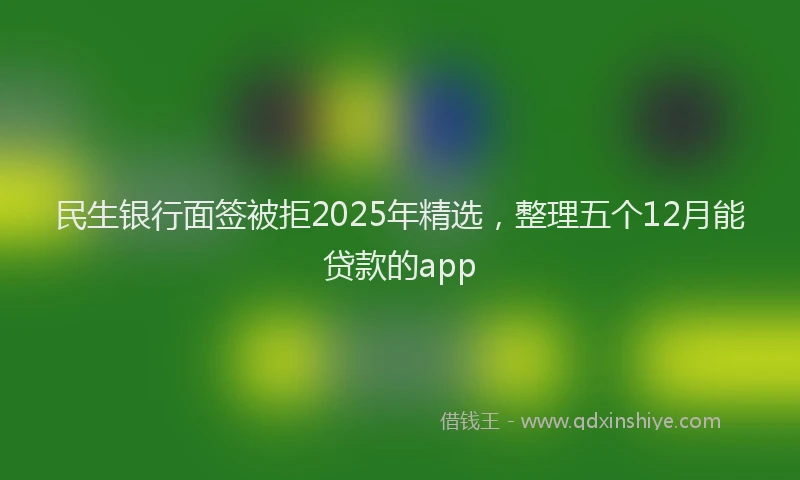 民生银行面签被拒2025年精选，整理五个12月能贷款的app