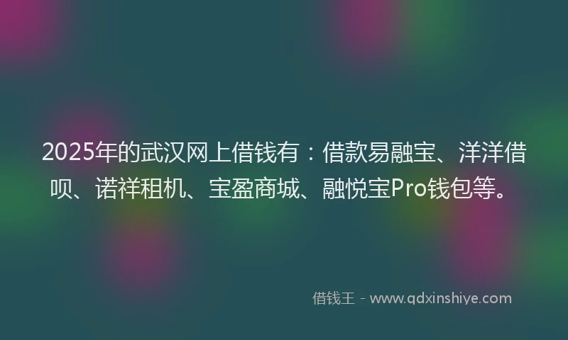 2025年的武汉网上借钱有：借款易融宝、洋洋借呗、诺祥租机、宝盈商城、融悦宝Pro钱包等。