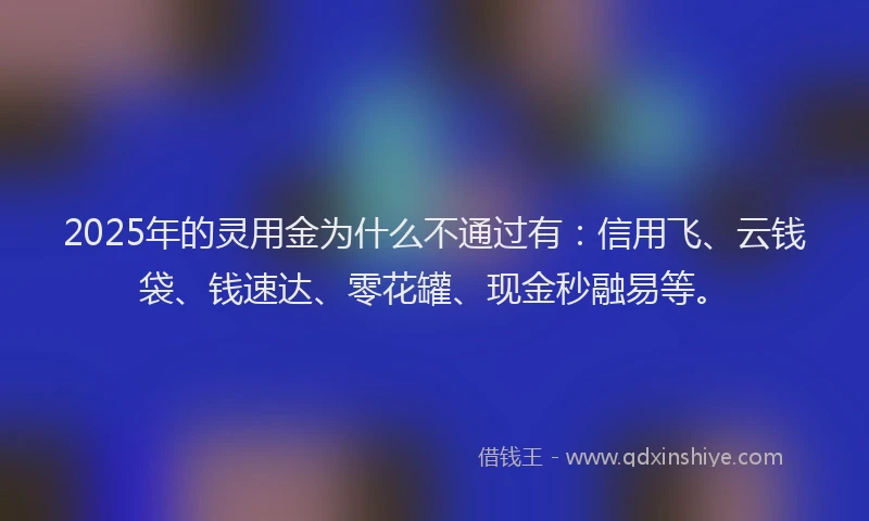 2025年的灵用金为什么不通过有：信用飞、云钱袋、钱速达、零花罐、现金秒融易等。