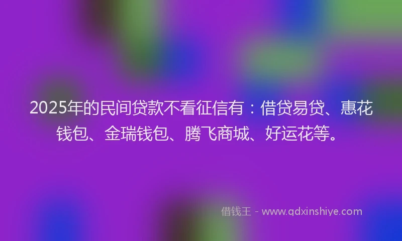 2025年的民间贷款不看征信有：借贷易贷、惠花钱包、金瑞钱包、腾飞商城、好运花等。