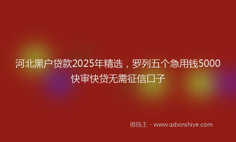 河北黑户贷款2025年精选，罗列五个急用钱5000快审快贷无需征信口子