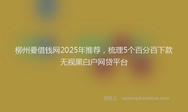 柳州要借钱网2025年推荐，梳理5个百分百下款无视黑白户网贷平台
