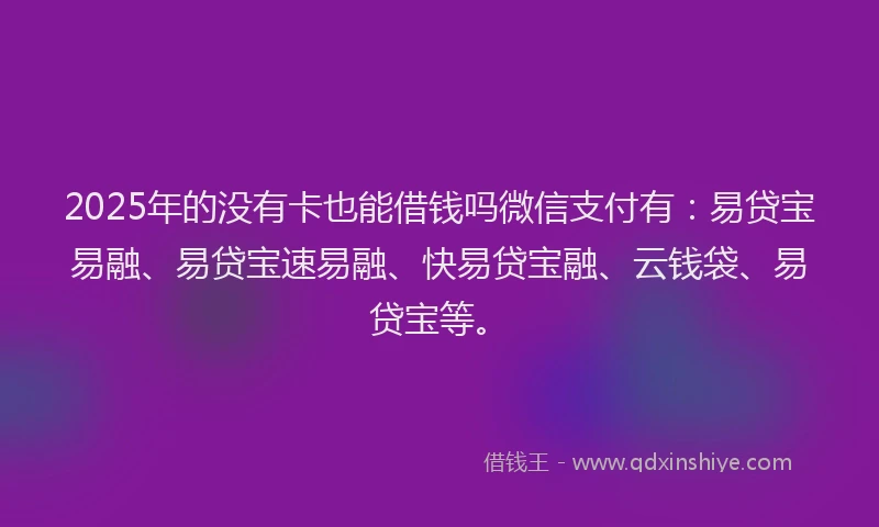 2025年的没有卡也能借钱吗微信支付有：易贷宝易融、易贷宝速易融、快易贷宝融、云钱袋、易贷宝等。