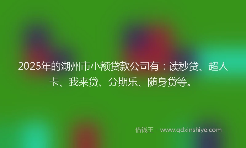 2025年的湖州市小额贷款公司有：读秒贷、超人卡、我来贷、分期乐、随身贷等。