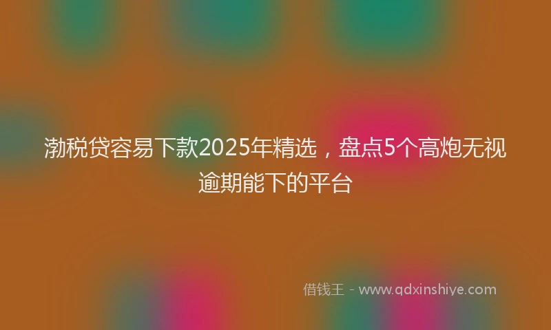 渤税贷容易下款2025年精选，盘点5个高炮无视逾期能下的平台