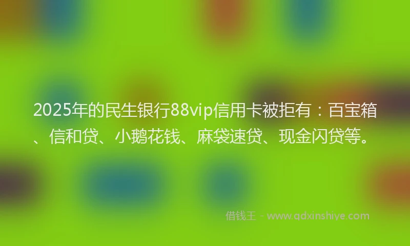 2025年的民生银行88vip信用卡被拒有：百宝箱、信和贷、小鹅花钱、麻袋速贷、现金闪贷等。
