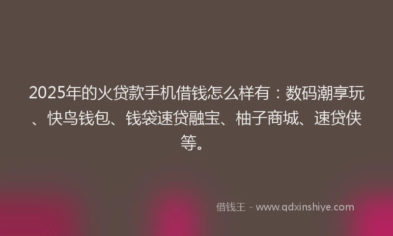 2025年的火贷款手机借钱怎么样有：数码潮享玩、快鸟钱包、钱袋速贷融宝、柚子商城、速贷侠等。