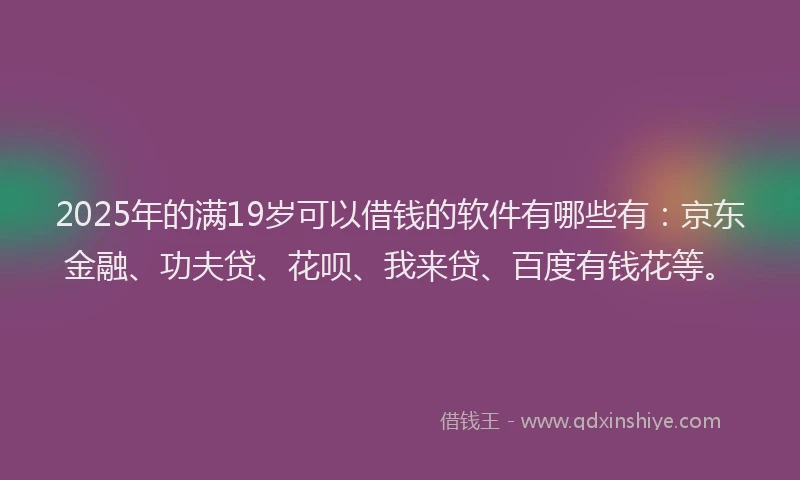 2025年的满19岁可以借钱的软件有哪些有：京东金融、功夫贷、花呗、我来贷、百度有钱花等。