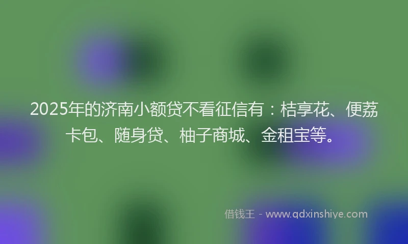 2025年的济南小额贷不看征信有：桔享花、便荔卡包、随身贷、柚子商城、金租宝等。