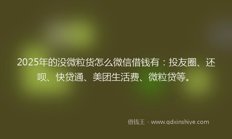 2025年的没微粒货怎么微信借钱有：投友圈、还呗、快贷通、美团生活费、微粒贷等。