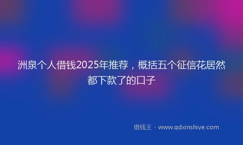 洲泉个人借钱2025年推荐，概括五个征信花居然都下款了的口子