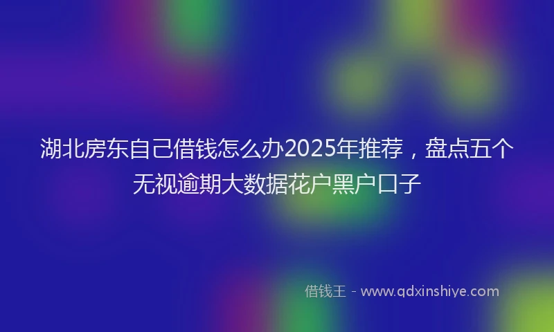 湖北房东自己借钱怎么办2025年推荐，盘点五个无视逾期大数据花户黑户口子