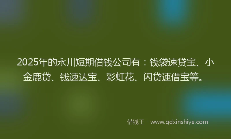 2025年的永川短期借钱公司有：钱袋速贷宝、小金鹿贷、钱速达宝、彩虹花、闪贷速借宝等。
