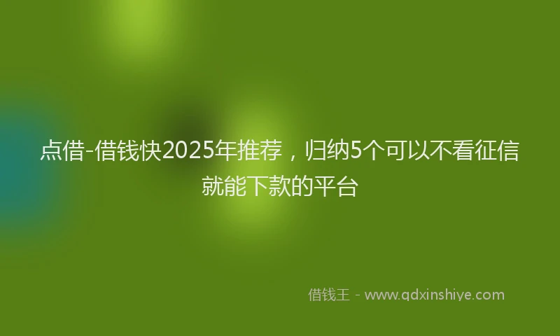 点借-借钱快2025年推荐，归纳5个可以不看征信就能下款的平台