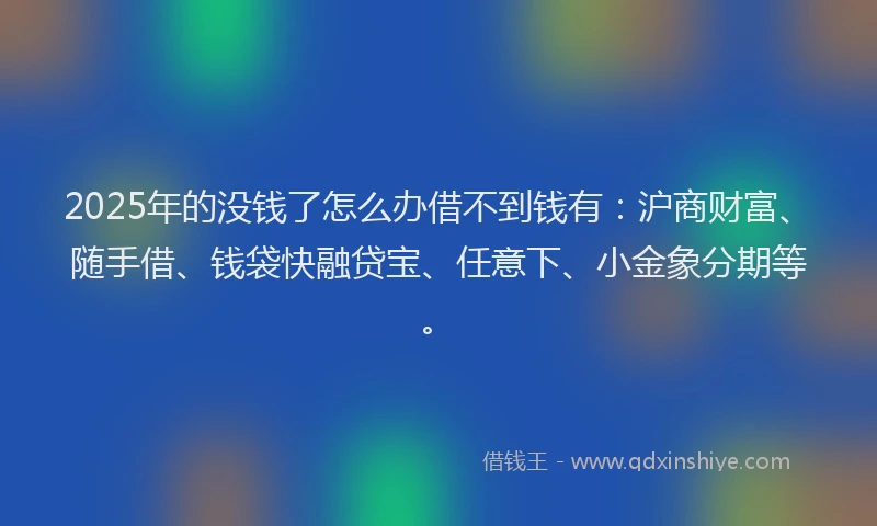2025年的没钱了怎么办借不到钱有：沪商财富、随手借、钱袋快融贷宝、任意下、小金象分期等。