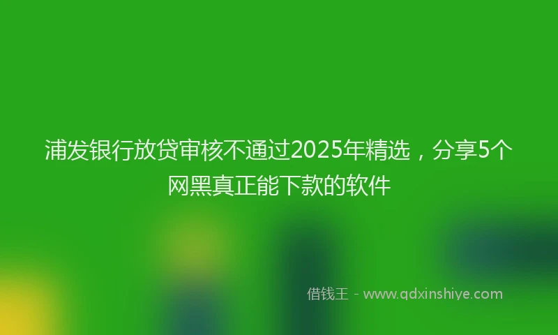 浦发银行放贷审核不通过2025年精选，分享5个网黑真正能下款的软件
