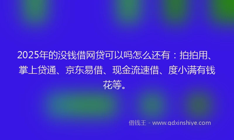 2025年的没钱借网贷可以吗怎么还有：拍拍用、掌上贷通、京东易借、现金流速借、度小满有钱花等。