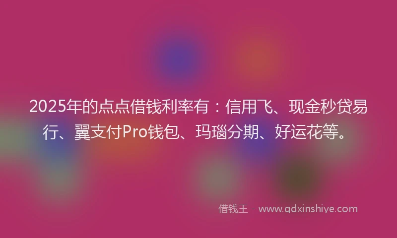 2025年的点点借钱利率有：信用飞、现金秒贷易行、翼支付Pro钱包、玛瑙分期、好运花等。