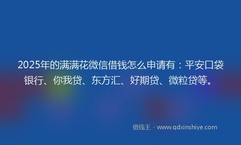 2025年的满满花微信借钱怎么申请有：平安口袋银行、你我贷、东方汇、好期贷、微粒贷等。