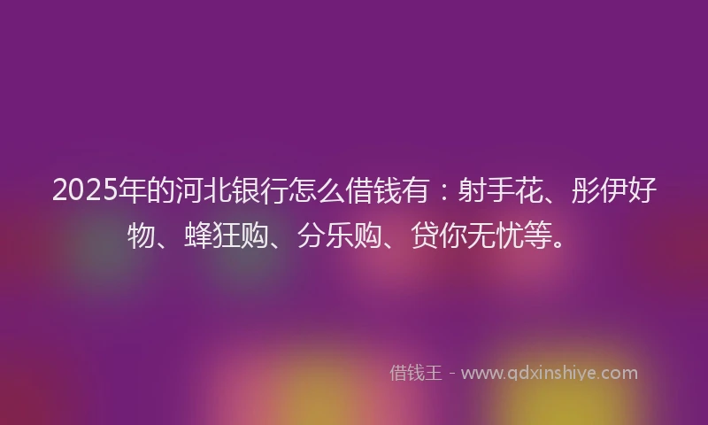 2025年的河北银行怎么借钱有：射手花、彤伊好物、蜂狂购、分乐购、贷你无忧等。