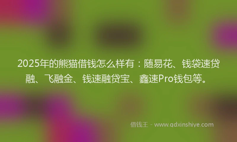 2025年的熊猫借钱怎么样有：随易花、钱袋速贷融、飞融金、钱速融贷宝、鑫速Pro钱包等。