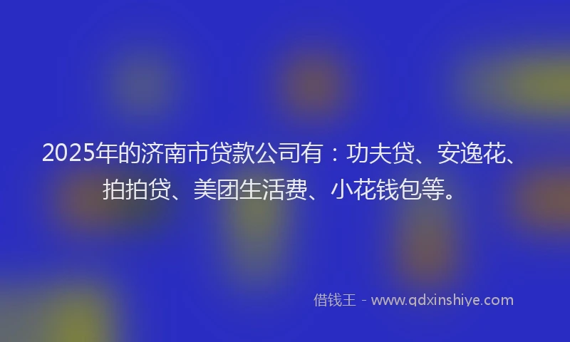 2025年的济南市贷款公司有：功夫贷、安逸花、拍拍贷、美团生活费、小花钱包等。
