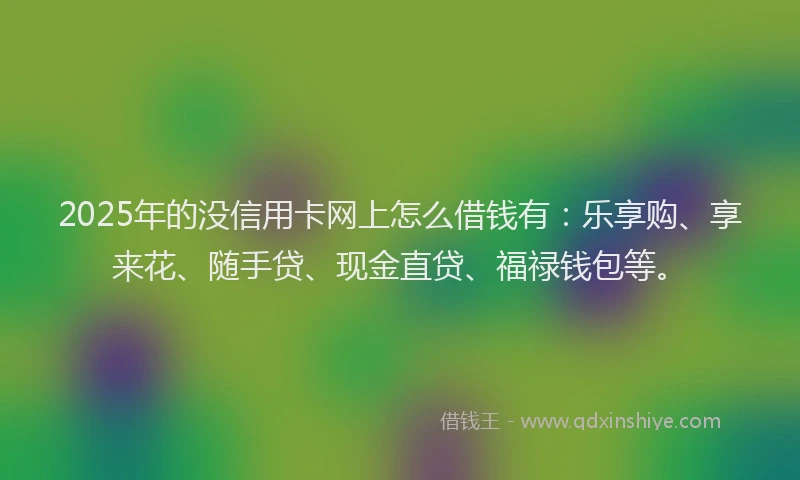 2025年的没信用卡网上怎么借钱有：乐享购、享来花、随手贷、现金直贷、福禄钱包等。