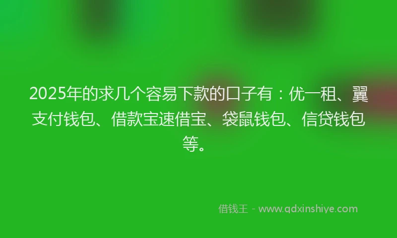 2025年的求几个容易下款的口子有：优一租、翼支付钱包、借款宝速借宝、袋鼠钱包、信贷钱包等。