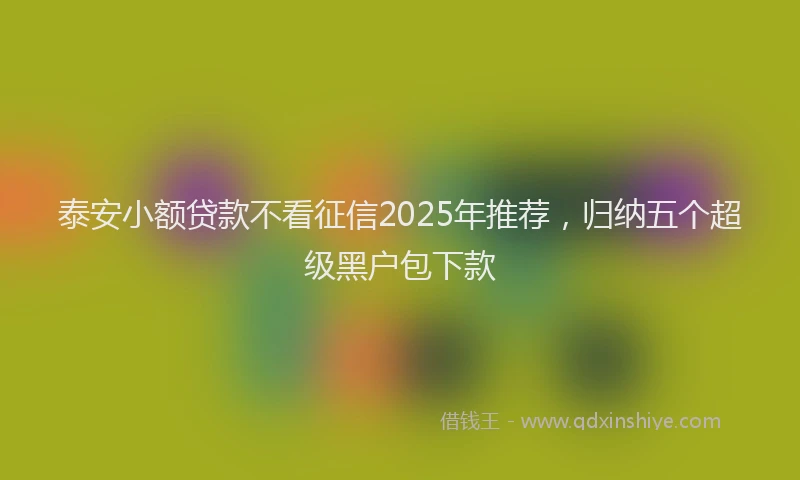 泰安小额贷款不看征信2025年推荐，归纳五个超级黑户包下款