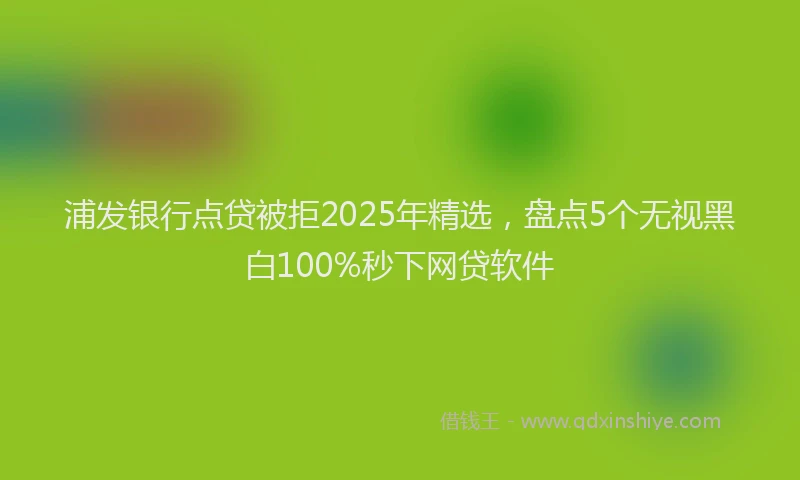 浦发银行点贷被拒2025年精选，盘点5个无视黑白100%秒下网贷软件
