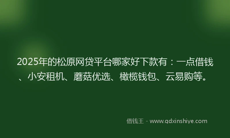 2025年的松原网贷平台哪家好下款有：一点借钱、小安租机、蘑菇优选、橄榄钱包、云易购等。
