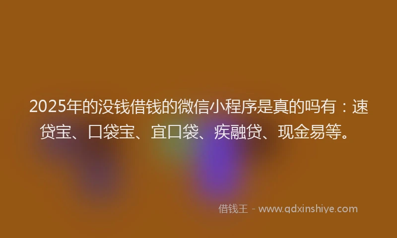 2025年的没钱借钱的微信小程序是真的吗有：速贷宝、口袋宝、宜口袋、疾融贷、现金易等。