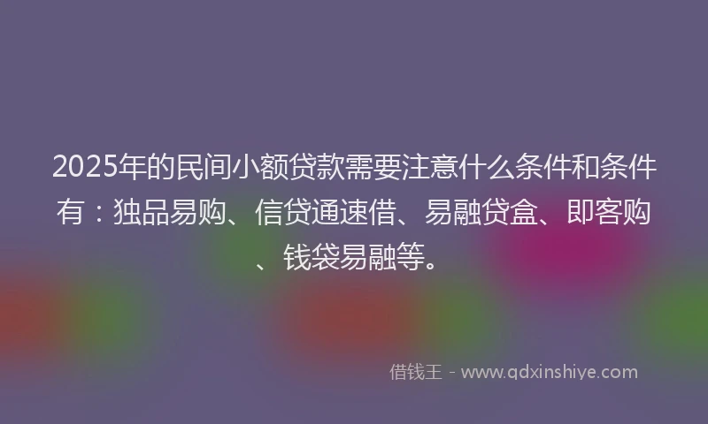 2025年的民间小额贷款需要注意什么条件和条件有：独品易购、信贷通速借、易融贷盒、即客购、钱袋易融等。