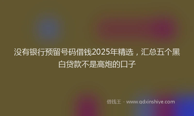 没有银行预留号码借钱2025年精选，汇总五个黑白贷款不是高炮的口子