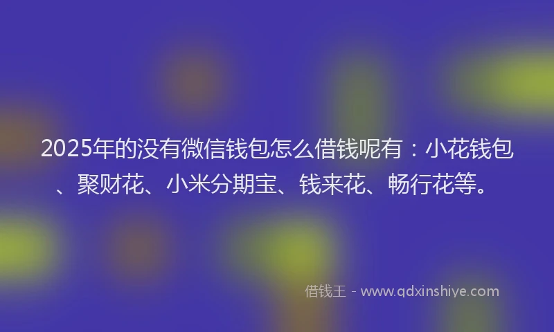 2025年的没有微信钱包怎么借钱呢有：小花钱包、聚财花、小米分期宝、钱来花、畅行花等。