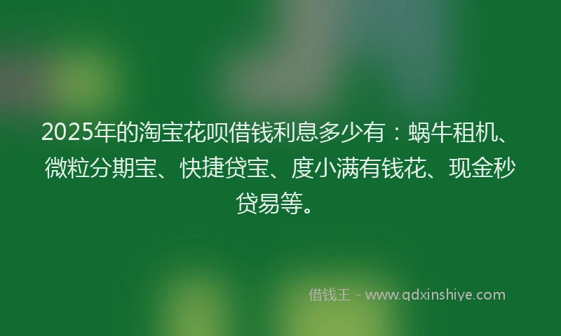 2025年的淘宝花呗借钱利息多少有：蜗牛租机、微粒分期宝、快捷贷宝、度小满有钱花、现金秒贷易等。