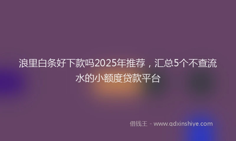 浪里白条好下款吗2025年推荐，汇总5个不查流水的小额度贷款平台