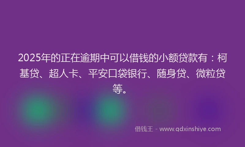 2025年的正在逾期中可以借钱的小额贷款有：柯基贷、超人卡、平安口袋银行、随身贷、微粒贷等。