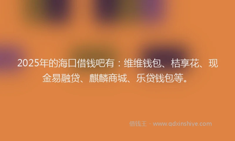 2025年的海口借钱吧有：维维钱包、桔享花、现金易融贷、麒麟商城、乐贷钱包等。