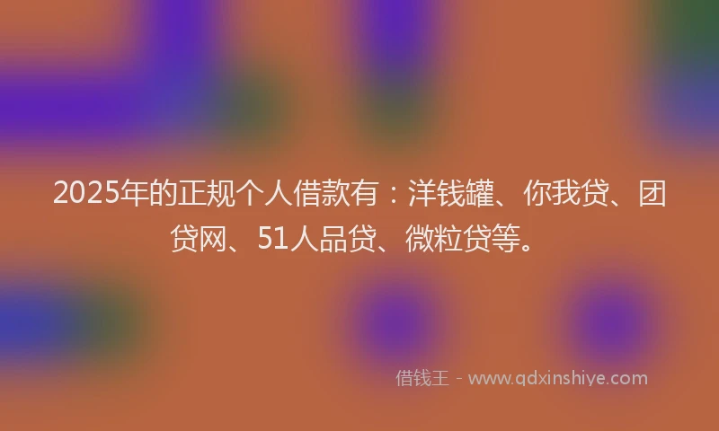 2025年的正规个人借款有：洋钱罐、你我贷、团贷网、51人品贷、微粒贷等。