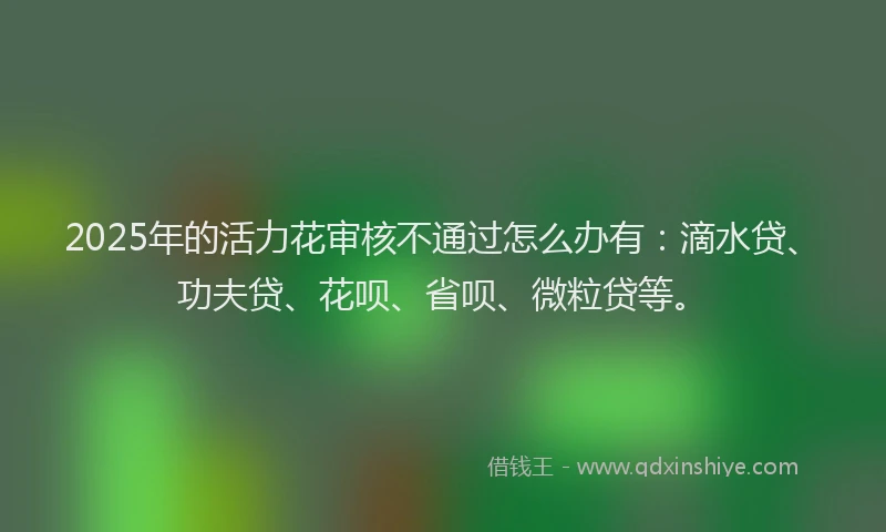 2025年的活力花审核不通过怎么办有：滴水贷、功夫贷、花呗、省呗、微粒贷等。