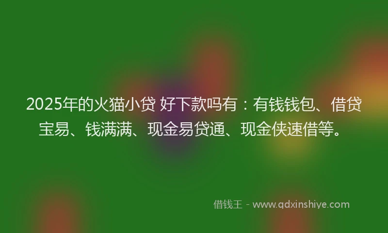 2025年的火猫小贷 好下款吗有：有钱钱包、借贷宝易、钱满满、现金易贷通、现金侠速借等。