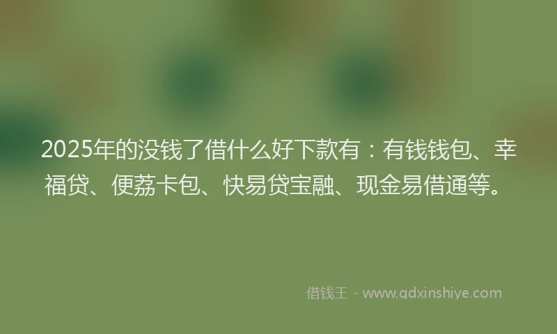 2025年的没钱了借什么好下款有：有钱钱包、幸福贷、便荔卡包、快易贷宝融、现金易借通等。