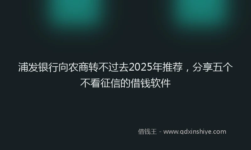 浦发银行向农商转不过去2025年推荐，分享五个不看征信的借钱软件