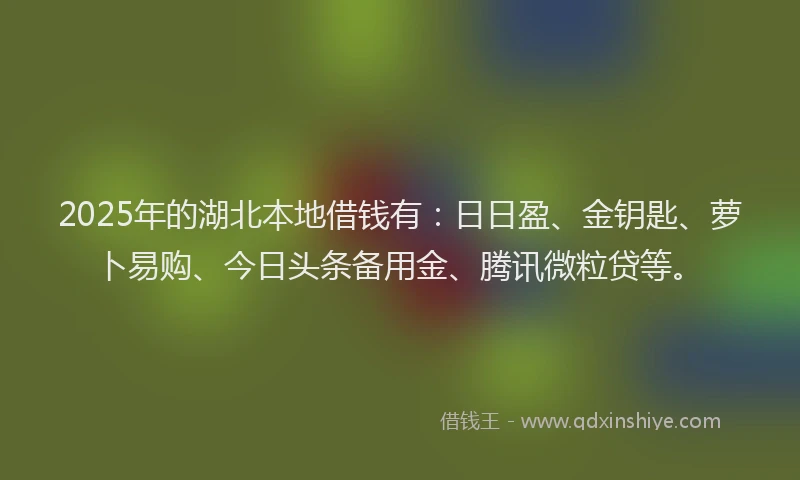 2025年的湖北本地借钱有：日日盈、金钥匙、萝卜易购、今日头条备用金、腾讯微粒贷等。