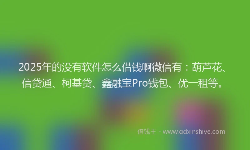 2025年的没有软件怎么借钱啊微信有：葫芦花、信贷通、柯基贷、鑫融宝Pro钱包、优一租等。