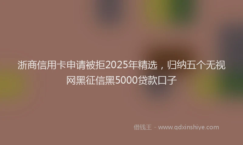浙商信用卡申请被拒2025年精选，归纳五个无视网黑征信黑5000贷款口子