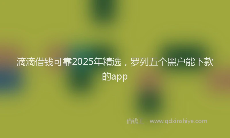 滴滴借钱可靠2025年精选，罗列五个黑户能下款的app