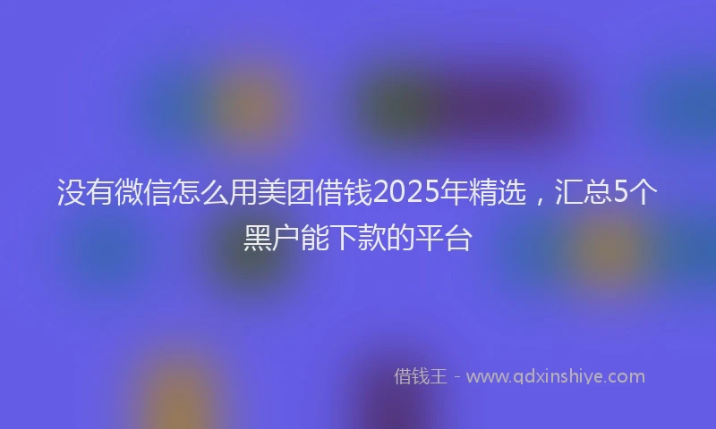 没有微信怎么用美团借钱2025年精选，汇总5个黑户能下款的平台