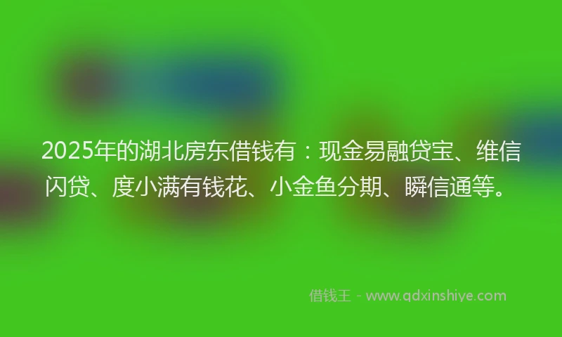 2025年的湖北房东借钱有：现金易融贷宝、维信闪贷、度小满有钱花、小金鱼分期、瞬信通等。